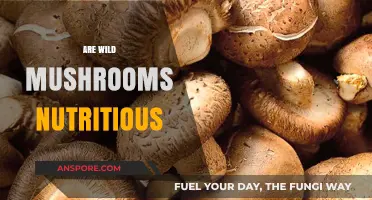 Mushroom Power: Wild Fungi Nutrition Explored