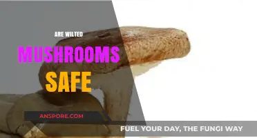 Mushroom Wilt: Safe or Unsafe?