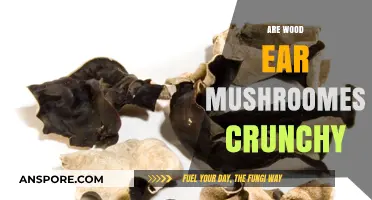 Wood Ear Mushrooms: Crunchy or Soft?