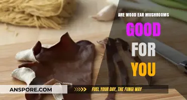 Wood Ear Mushrooms: Unlocking Nutritional Benefits and Health Advantages