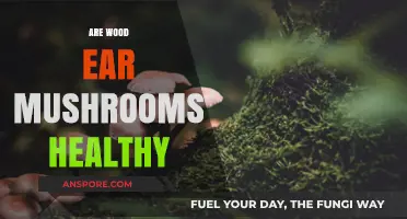 Wood Ear Mushrooms: Healthy Superfood or Fad?