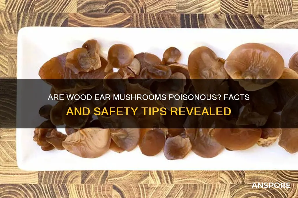 are wood ear mushrooms poisonous