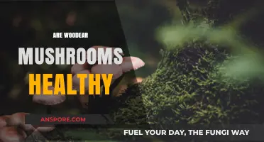 Wood Ear Mushrooms: Healthy Superfood or Fungal Fad?
