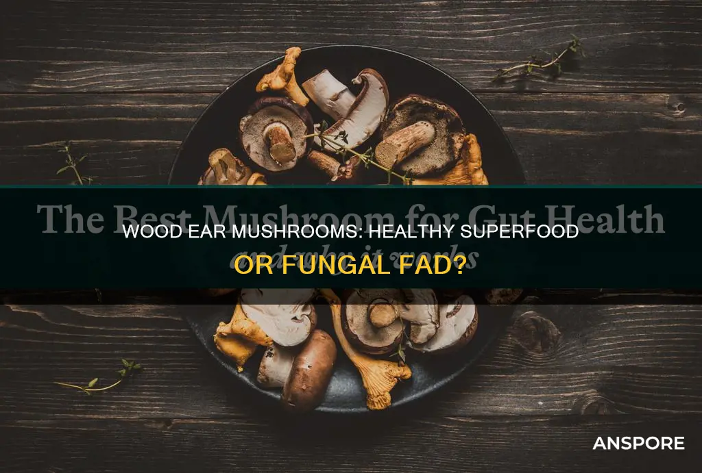 are woodear mushrooms healthy