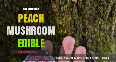 Wrinkled Peach Mushrooms: Are They Safe to Eat?
