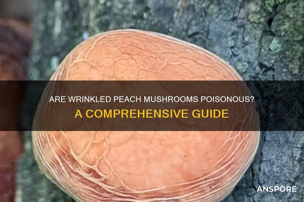 are wrinkled peach mushroom poisonous