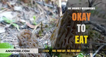 Are Wrinkly Mushrooms Safe to Eat? A Complete Guide