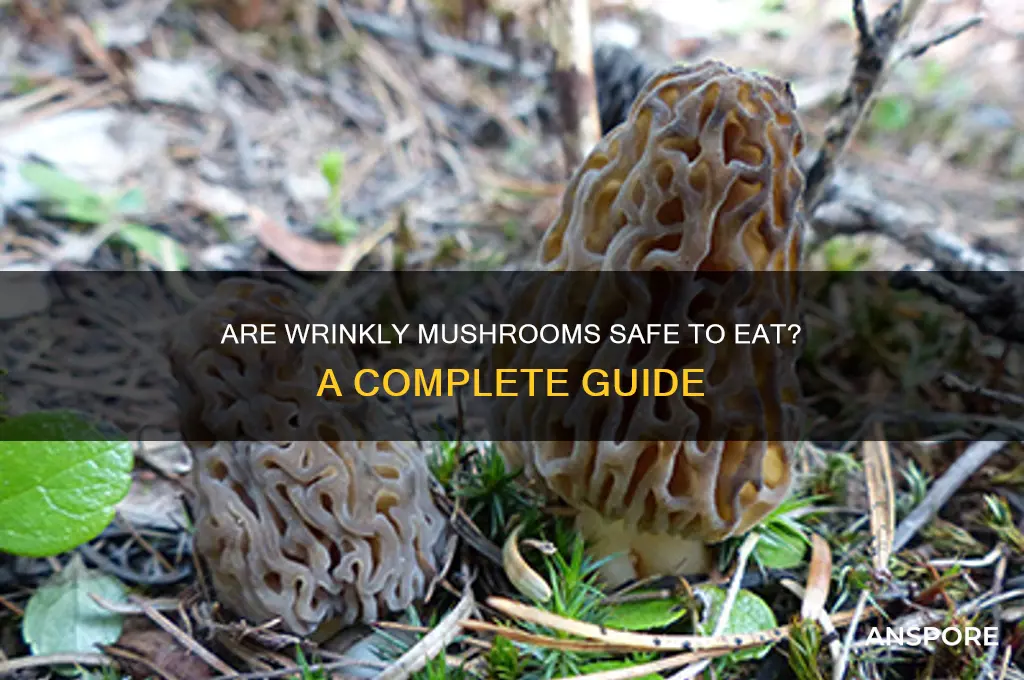 are wrinkly mushrooms okay to eat