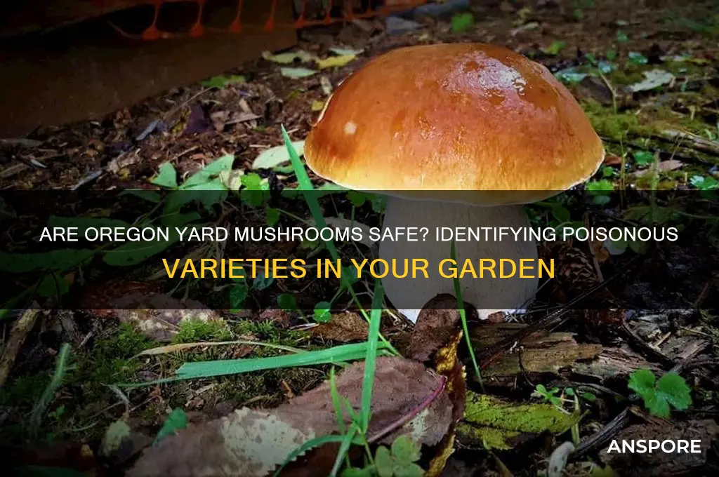 are yard mushrooms poisonous in oregon