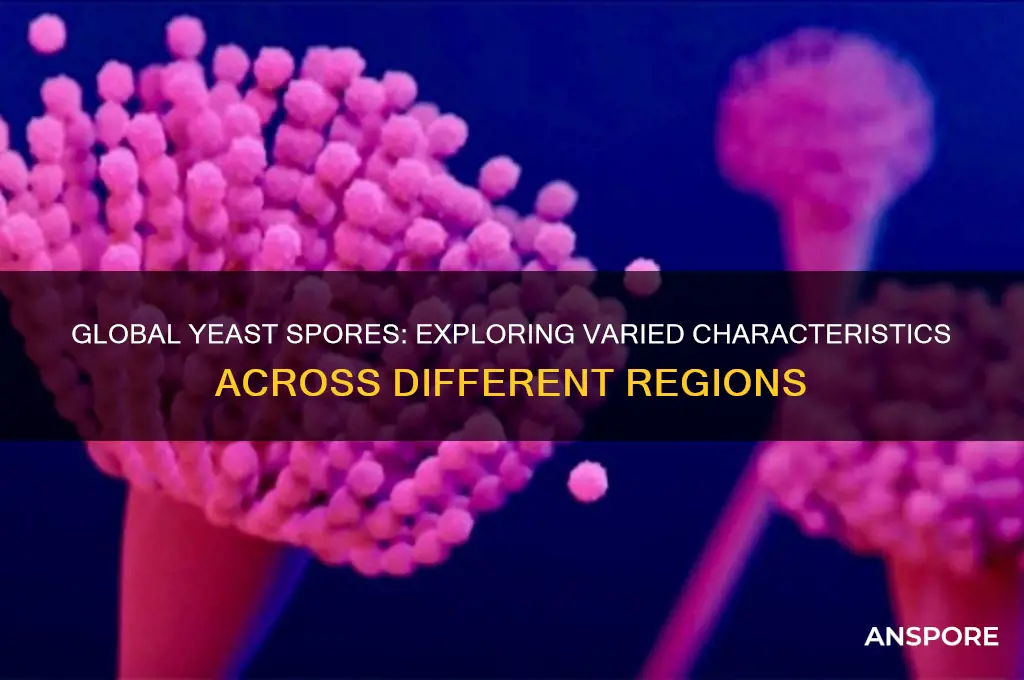 are yeast spores different around the world