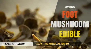 Are Yellow Foot Mushrooms Edible? A Comprehensive Guide to Safety