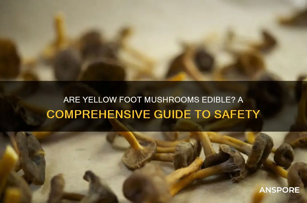 are yellow foot mushrooms edible