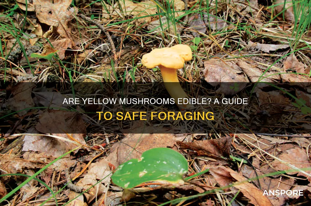are yellow mushrooms edible