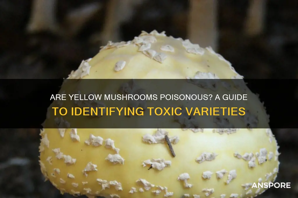 are yellow mushrooms poisonous