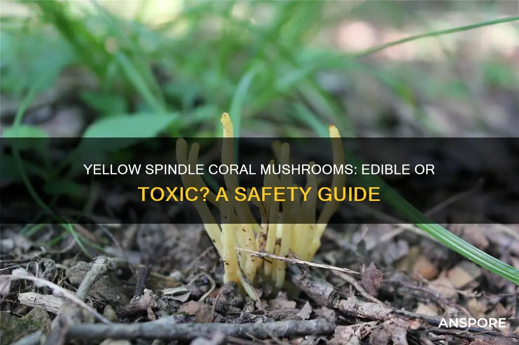 are yellow spindle coral mushrooms safe to eat