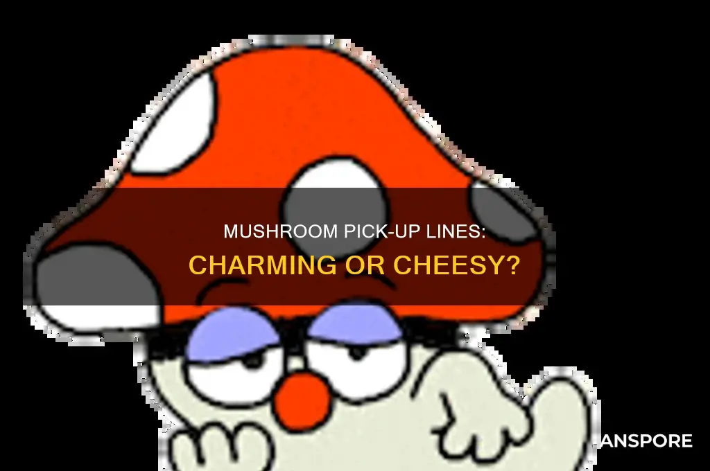 are you a mushroom pick up line
