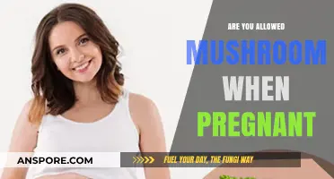 Pregnant and Mushrooms: Safe or Not?