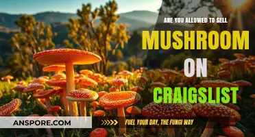 Selling Mushrooms on Craigslist: Is It Legal?