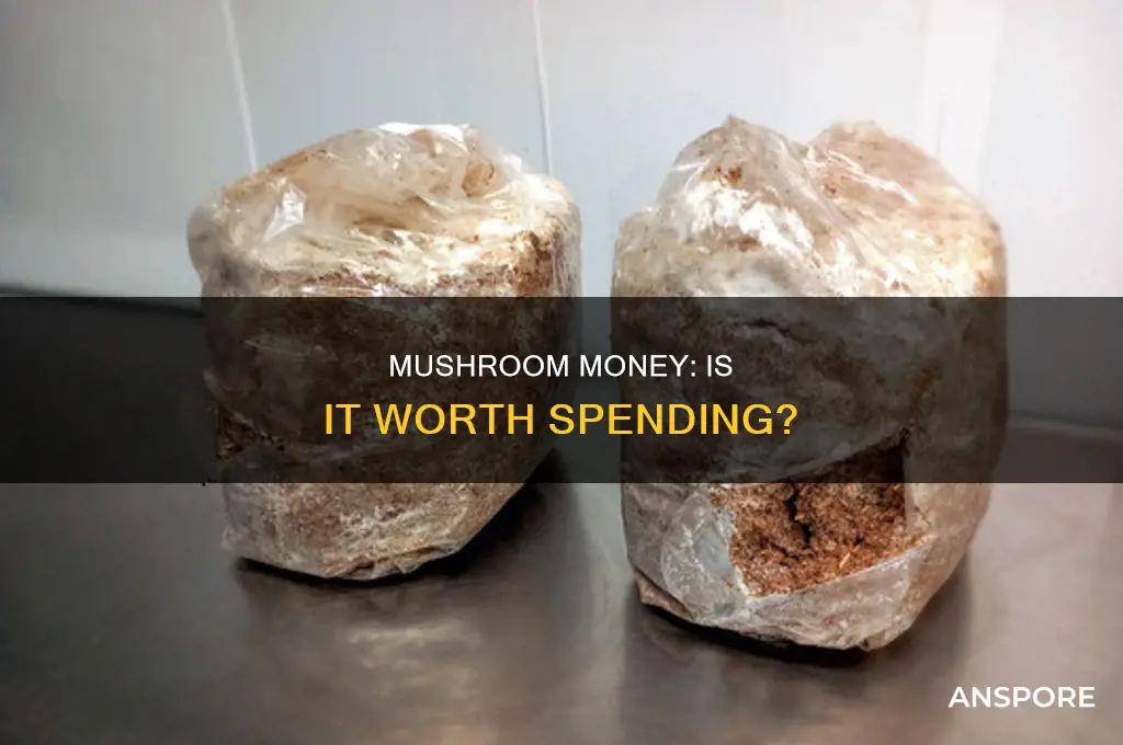 are you going to spend money on mushrooms
