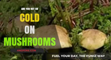 Mushrooms: Love Them or Hate Them?