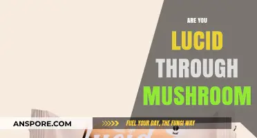 Mushroom Trips: Lucid or Not?