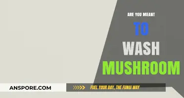 Should You Wash Mushrooms?