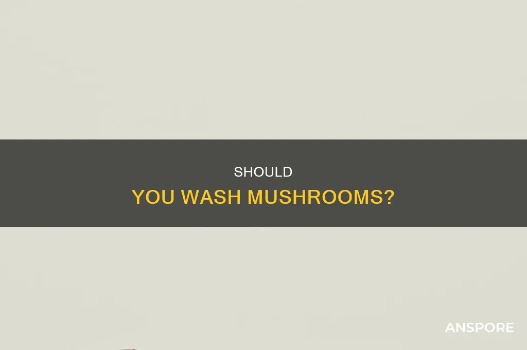 are you meant to wash mushrooms