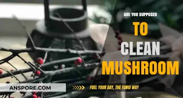 How to Properly Clean Mushrooms for Cooking