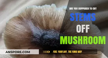 How to Prepare Mushrooms: To Cut or Not to Cut?