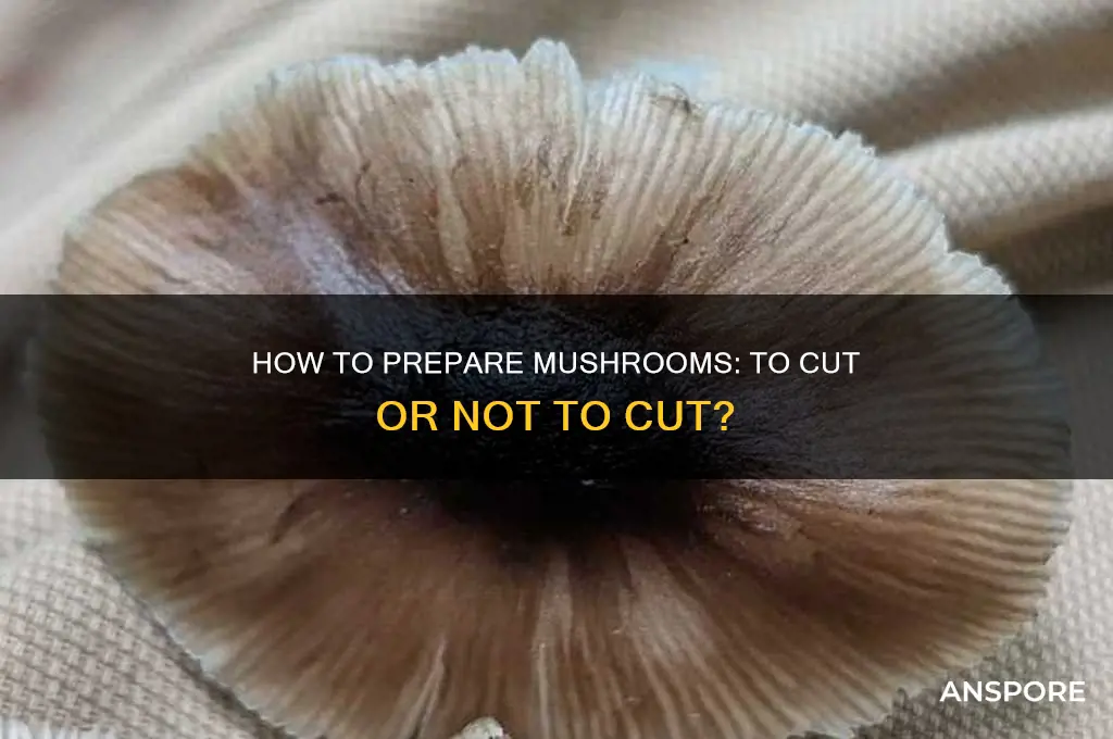 are you supposed to cut stems off mushrooms