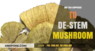 The Great Mushroom Debate: To De-Stem or Not?