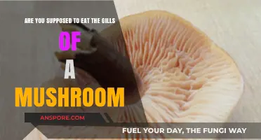 Should You Eat Mushroom Gills? A Fungal Feast Guide