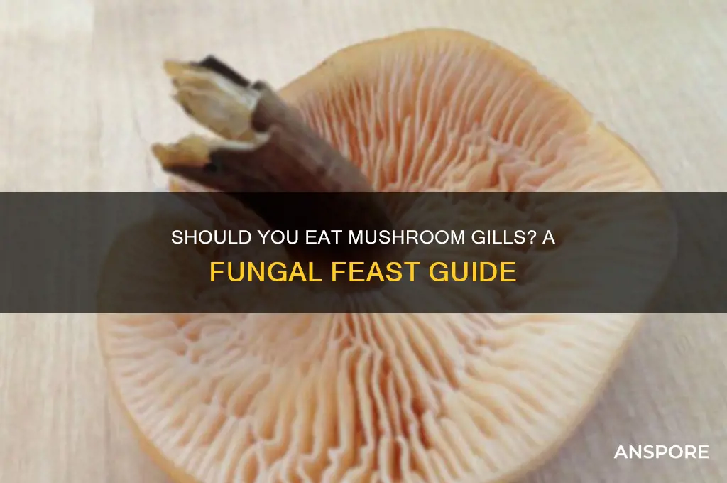 are you supposed to eat the gills of a mushroom