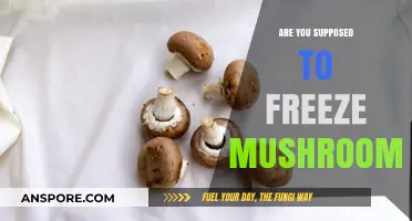 Freezing Mushrooms: A Smart Storage Solution?