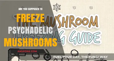 The Best Way to Store Psychedelic Mushrooms: Freezing?