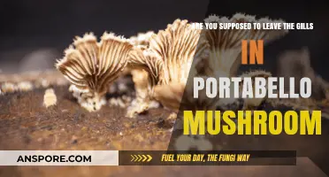 How to Prepare Portabello Mushrooms: Gills or No Gills?