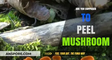 Should You Peel Mushrooms? A Guide to Prepping Fungi