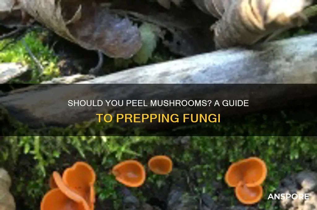 are you supposed to peel mushrooms