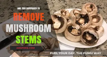 The Great Mushroom Debate: Stems, To Remove or Not?