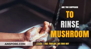 How to Properly Wash Mushrooms for Cooking