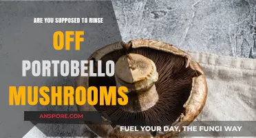 Should You Rinse Portobello Mushrooms? A Cleaning Guide
