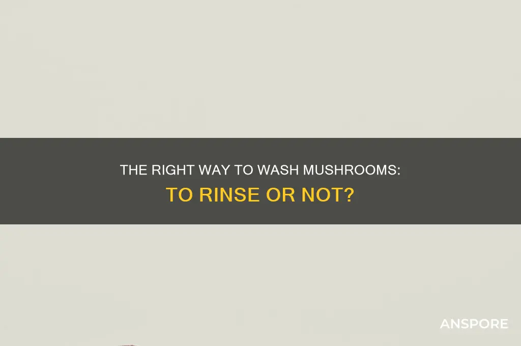 are you supposed to wash mushrooms in water