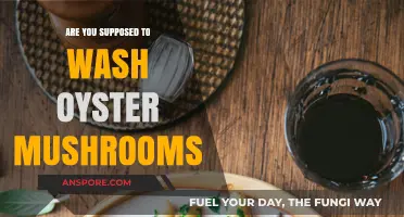How to Prepare Oyster Mushrooms: To Wash or Not?