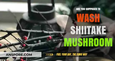 How to Prepare Shiitake Mushrooms: To Wash or Not?