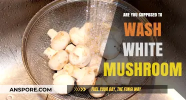 Washing Mushrooms: To Rinse or Not to Rinse?