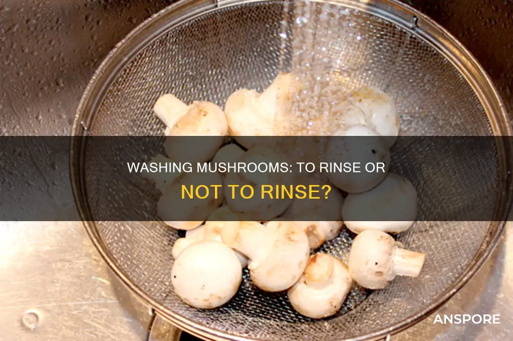are you supposed to wash white mushrooms