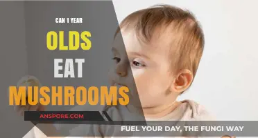 Mushrooms for Toddlers: Safe or Not at One Year Old?