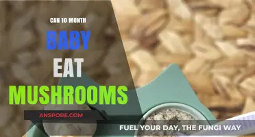 Introducing Mushrooms to Your 10-Month-Old Baby: Safe or Not?