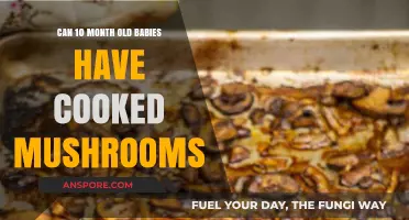 Cooked Mushrooms for 10-Month-Olds: Safe or Risky Addition?