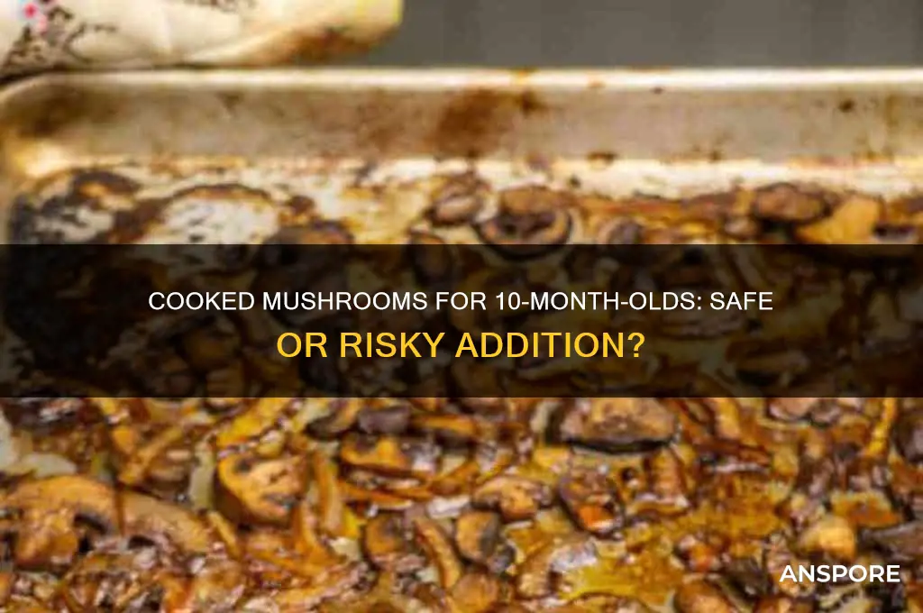can 10 month old babies have cooked mushrooms